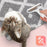 Duronic CFS4 Juego de quitapelusas Manual y Rodillo de Pelusas | Quitapelusas portátil para Telas y Ropa | Afeitadora Manual de Telas | Elimina Pelo de Mascotas, alfombras y tapicería