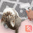 Duronic Rodillo quitapelusas 2X (60 Hojas Cada) + 4 recambios ROLL2X4 | Rodillos quitapelusas Extra adherentes para Telas y Ropa | Elimina pelos de Mascotas, Polvo y Pelusas de alfombras y tapicería