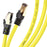 Duronic YW 3M CAT8 Cable de ethernet|Trenzado de los Pares Interno Y Conectores RJ45|Ancho de Banda de hasta 2GHz/2000MHz|Color Amarillo y Acabado Oro